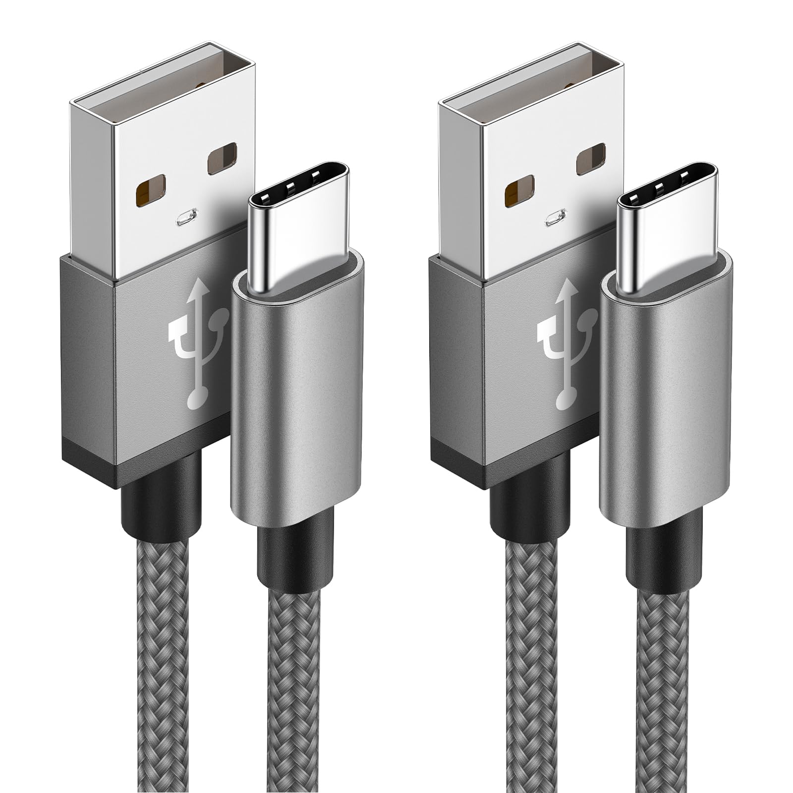 Aioneus