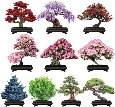 300 Bonsai Tree Seeds  10 Popular Varieties of Liberia | Ubuy