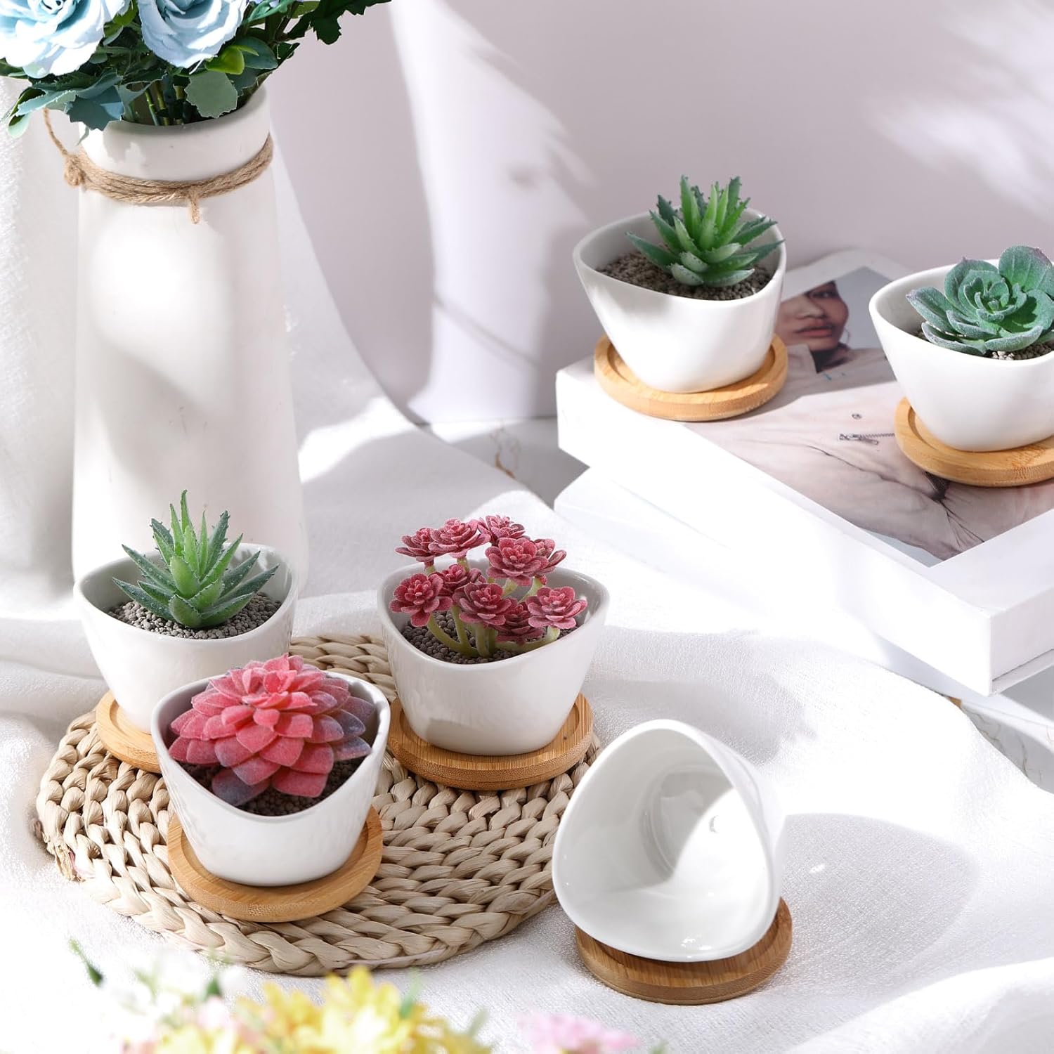 Domensi 12 Pack Succulent Planter Pots 3 Inch Small Plant Pots Mini Ceramic Succulent Planter Holder with Drainage Holes and Bamboo Saucers (White)