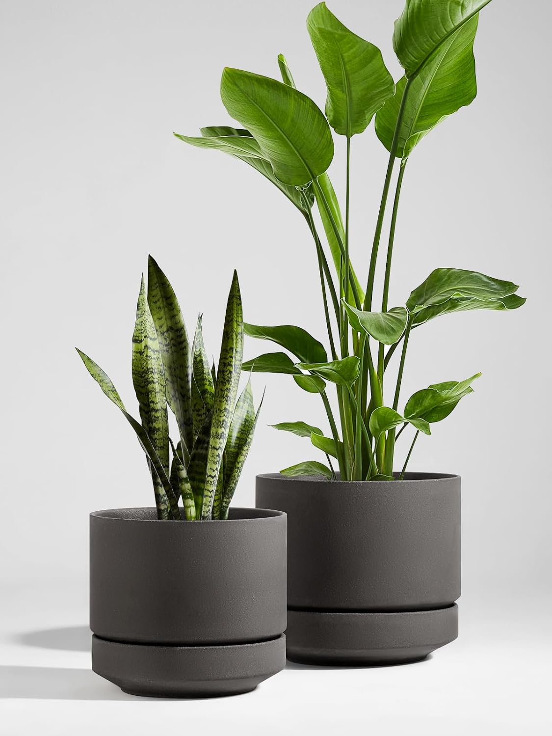 LE TAUCI 12 Inch Pot for Plants with Saucer, Ceramic Indoor Planter Pot with Drainage Hole, Mesh Pad & Plug Included, Unglazed Porous Ceramic, Modern for Home and Office, Charcoal Gray