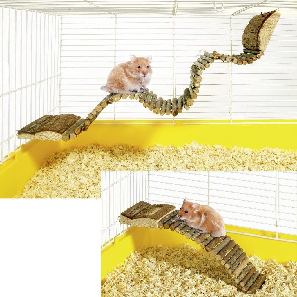 hamster climbing frame