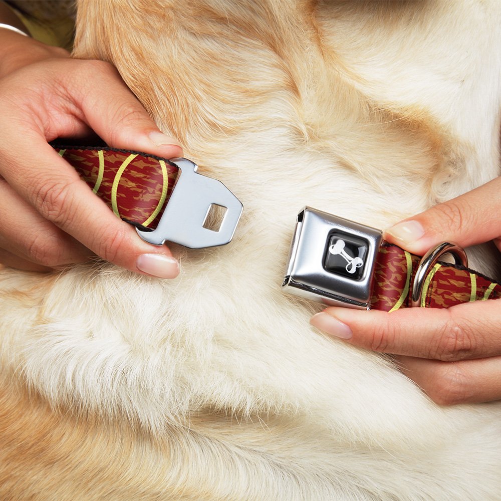 Buckle-Down DC-W31811-WS - Cinturón de Seguridad para Perro, Talla S, Color Naranja y Amarillo