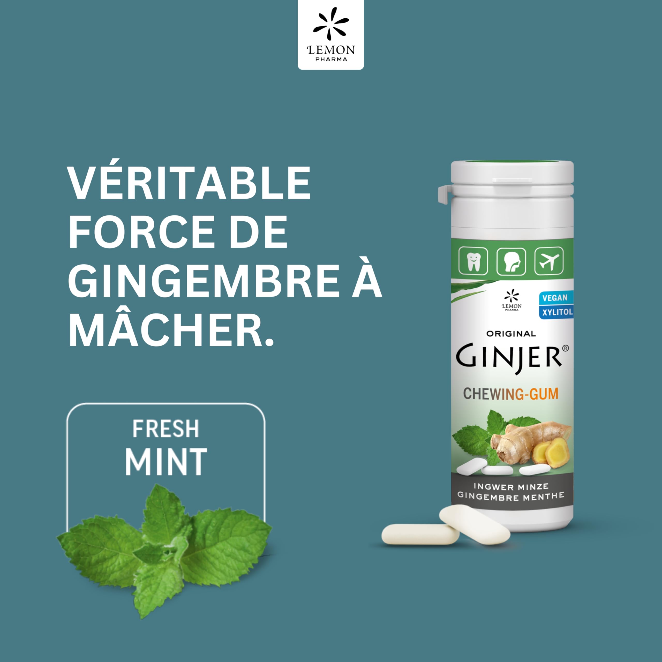 Chewing-gums au gingembre menthe et xylitol Ginjer® Lemon Pharma – Sans sucre – Boite de 30 g