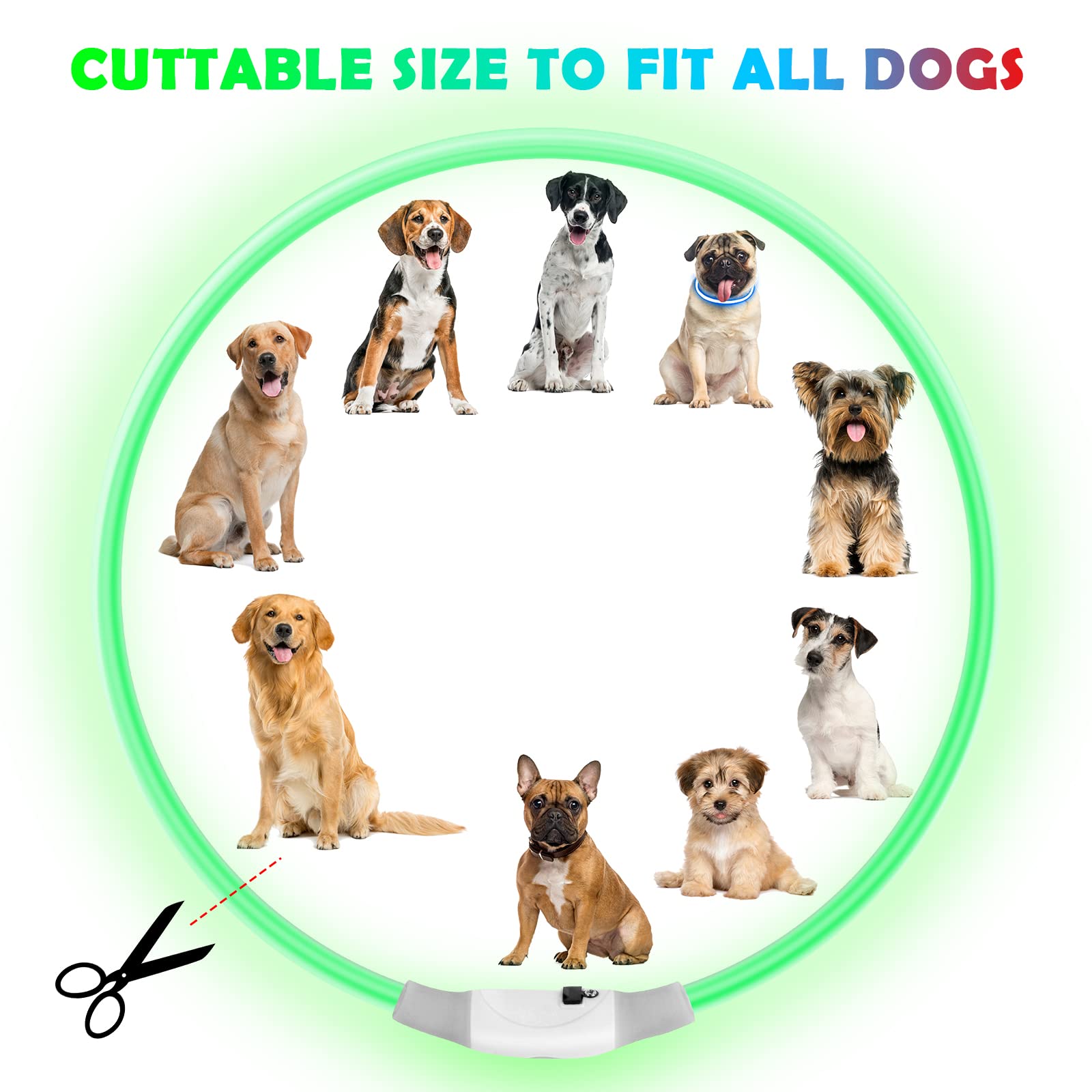 AUAUY Collare Luminoso per Cani, Collare per Animali Domestico LED Ricaricabile USB, Collare di Lunghezza Regolabile Impermeabile per Cani di Taglia Piccola Media Grande e Gatti - Colorato