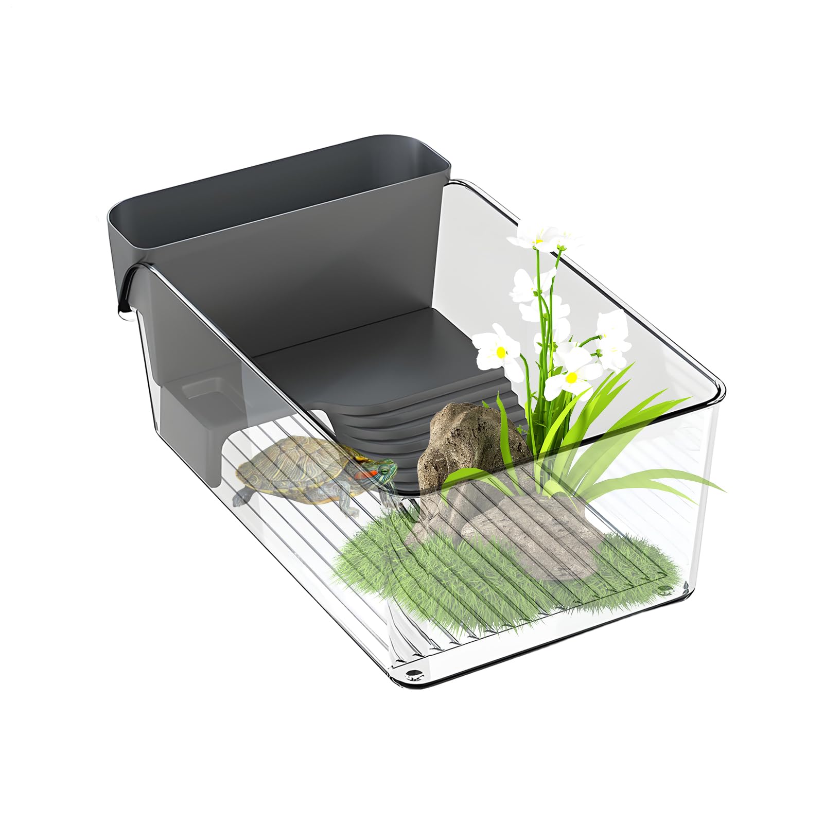 Boîte multifonction pour tortue et écrevisses de compagnie