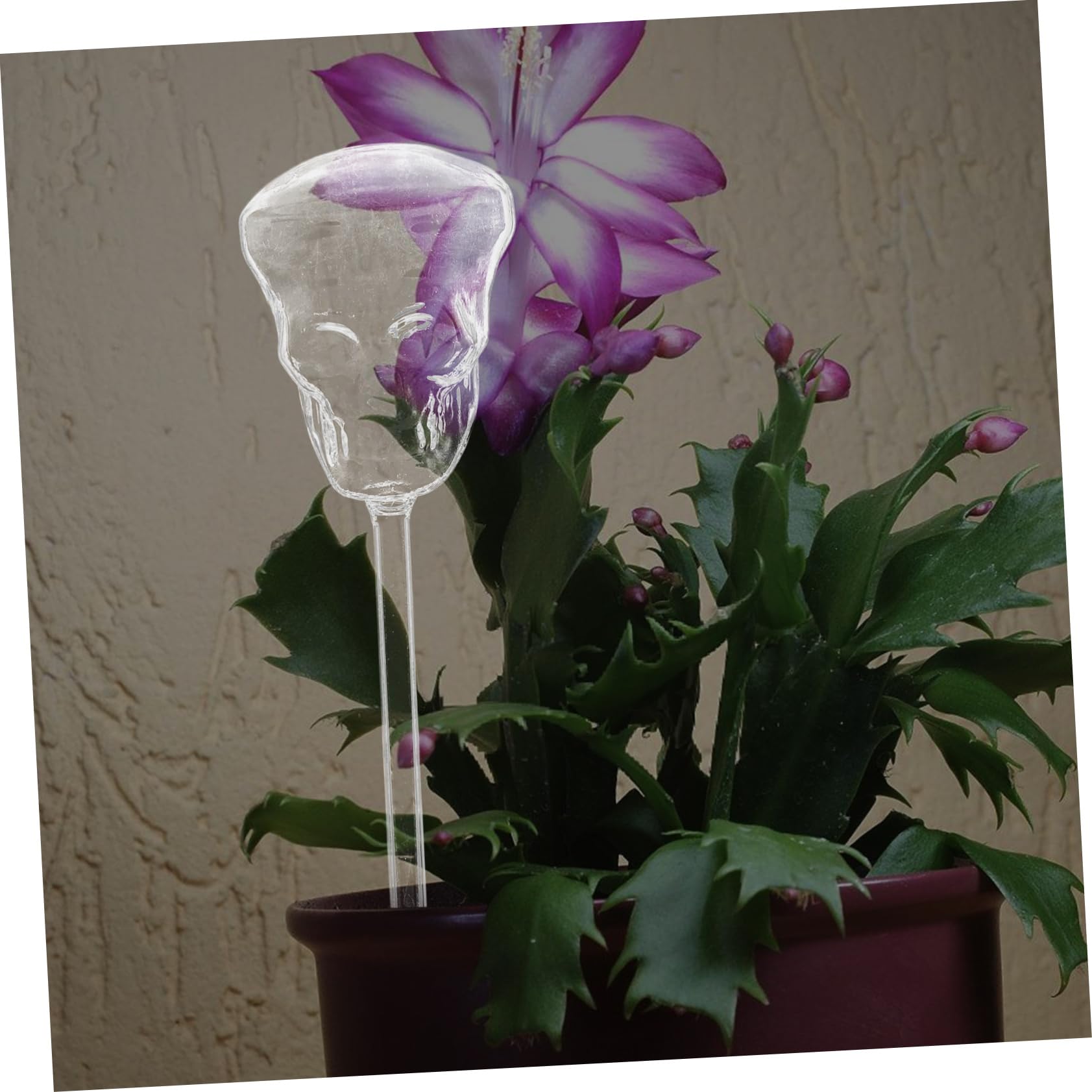 Abaodam 3 Pezzi Irrigazione Automatica del Pianta Can del Cranio Piante da Appartamento Fioriere Autoirriganti Gocciolare Se Stesso Globo di Irrigazione del Cranio Ugello da Giardino