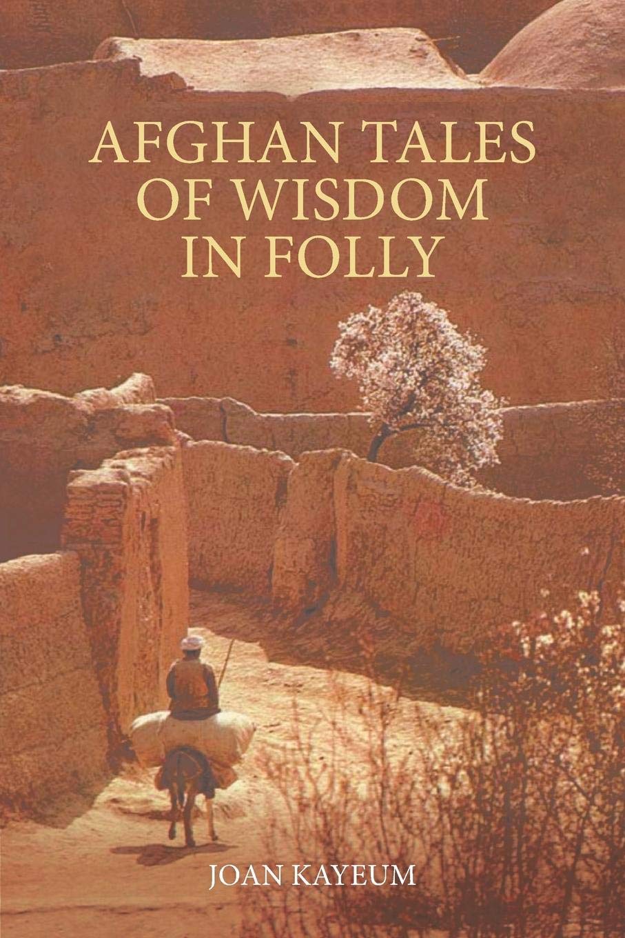 Afghan Tales of Wisdom in Folly: A Book of Afghan Humor Based on Mullah Nasruddin Stories