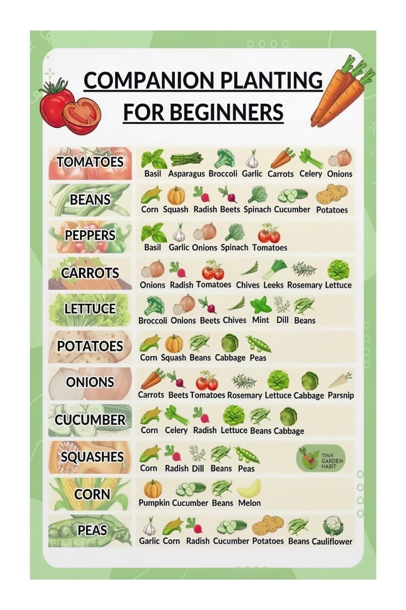 MQXFCZUX What to Plant Together Poster Companion Planting Chart for Maximizing Harvest and Pest Control Gardening Guide Canvas Art for Home Garden Unframed,16x24inch(40x60cm)