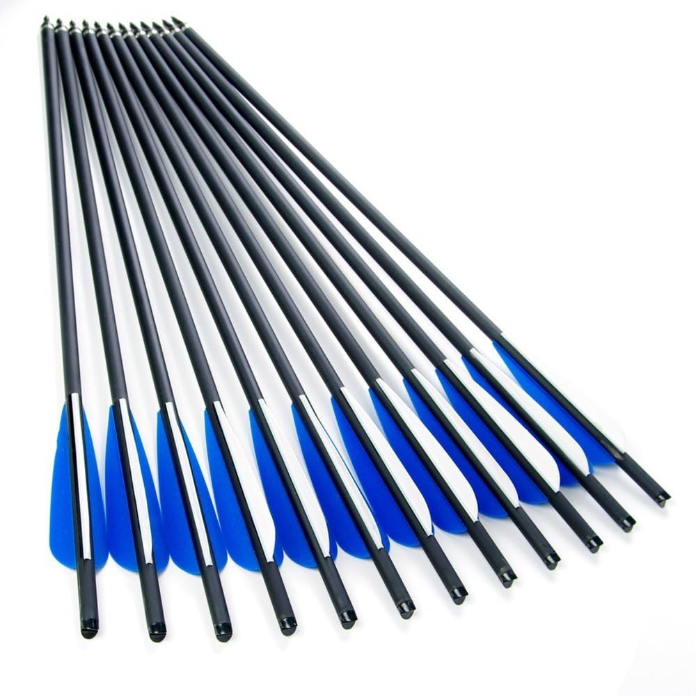 GPP Hunting Archery Carbon Arrow 22" Crossbow Bolts Arrow with 4" vanes and Replaced Arrowhead/Tip 12PC : Sports & Outdoors