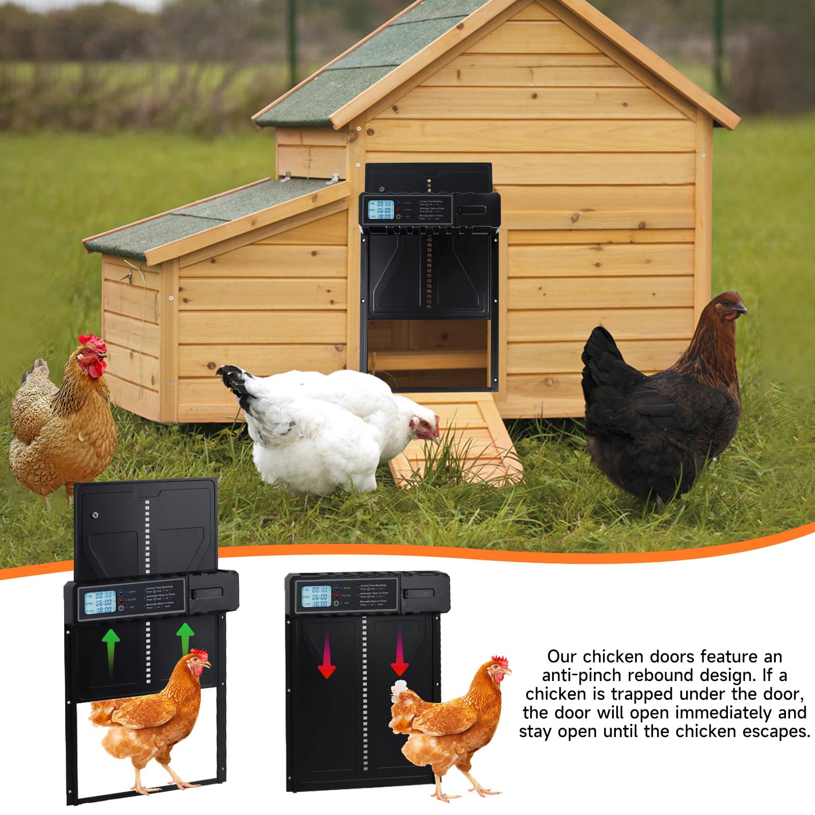 Puerta Automática para Gallinero de Aluminio con Temporizador y Pantalla, Protección Antiatrapamiento