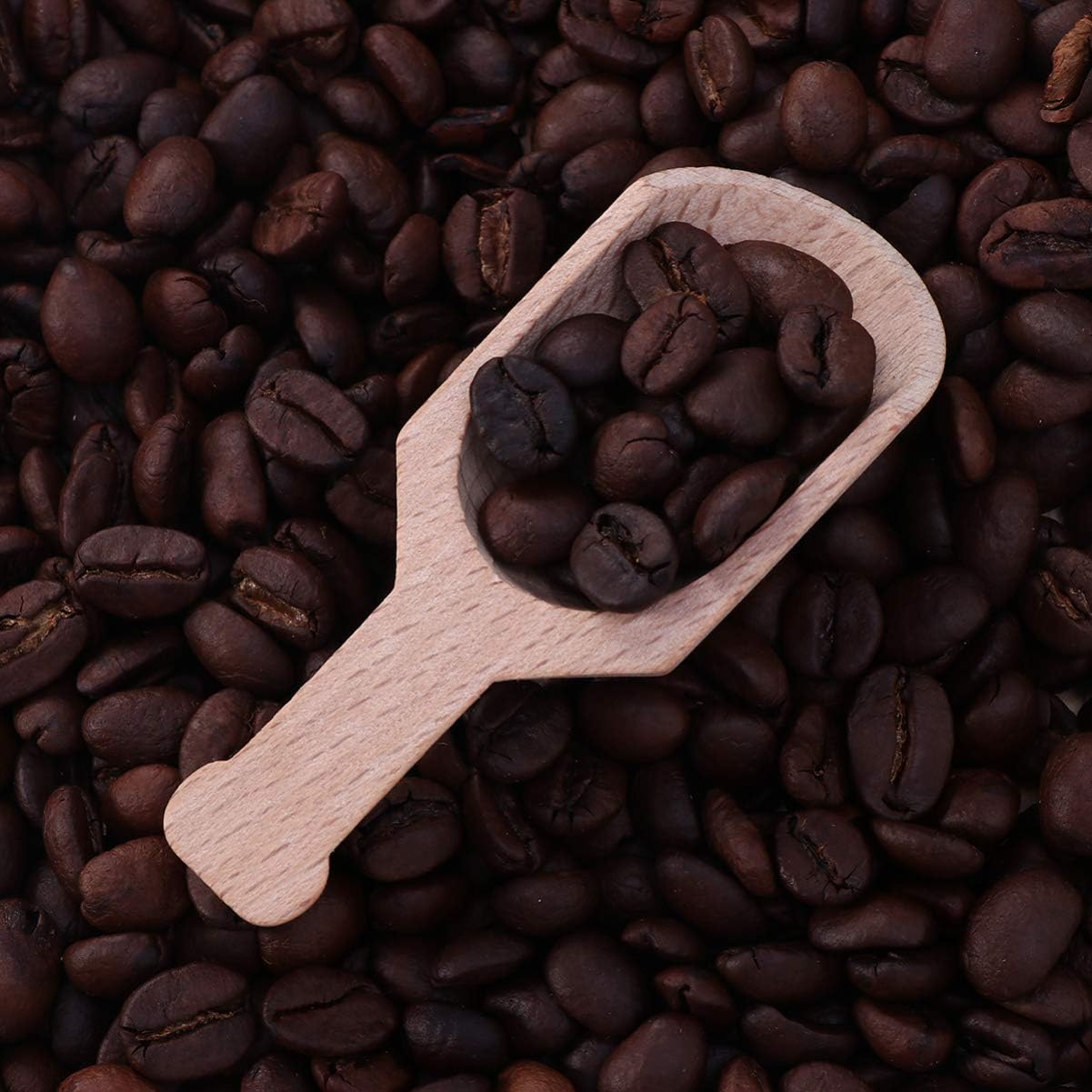Hemoton 16pcs Beech Teaspoon Small Flat Handle Scoops for Tea Spices and Powder Kitchen Accessories for Tea Houses Restaurants and Home Use