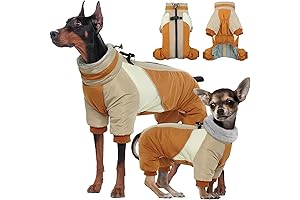 Perfect Wintertime Companion: Kuoser Fullbody Dog Coat for Small Snowtime Adventurers