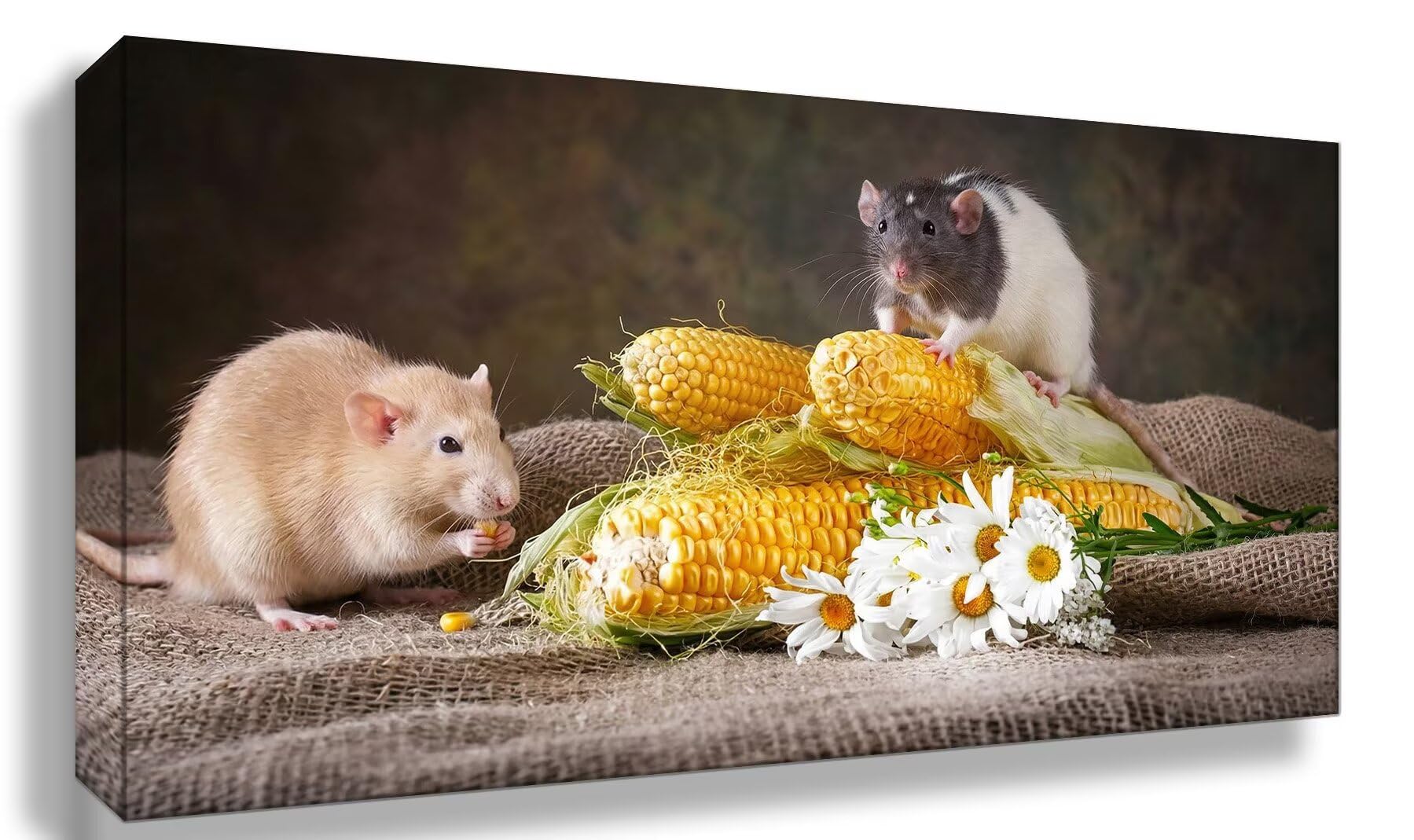 Diamond Painting Maus, Tier Diamond Painting Erwachsene, 5D Vollbohrer Diamanten Paint by Numbers, Kreatives für Erwachsene Mosaik Bastelset für Home Wand Deko, Geschenke für Frauen, 100x200cm,Cod-965