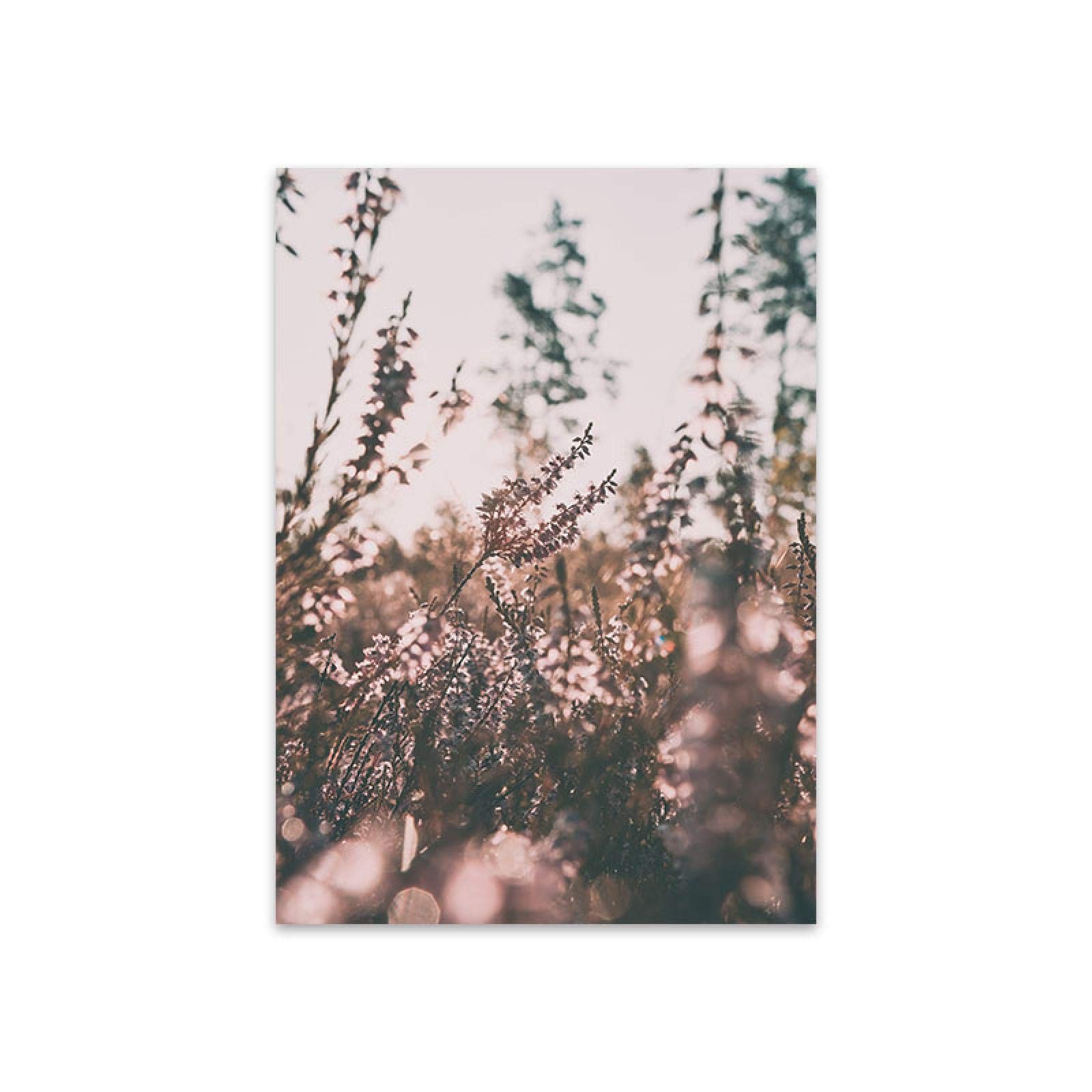 Planta de otoño Diente de león Campo de hierba Cartel de la lona Naturaleza Paisaje Arte de la pared Impresión Pintura Sala de estar Decoración del hogar 60x80cmx3 Marco interno