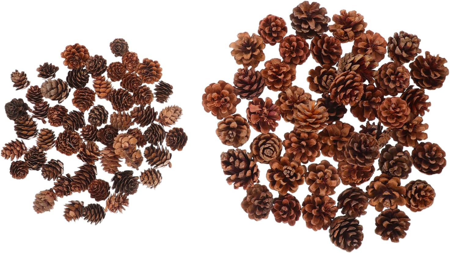 150Pcs Natural Pine Cones Bulk Small Pine Cones and Acorns for DIY Crafts Thanksgiving Vase Fillers Home Decor for Holiday Party Decorations and Rustic Accents