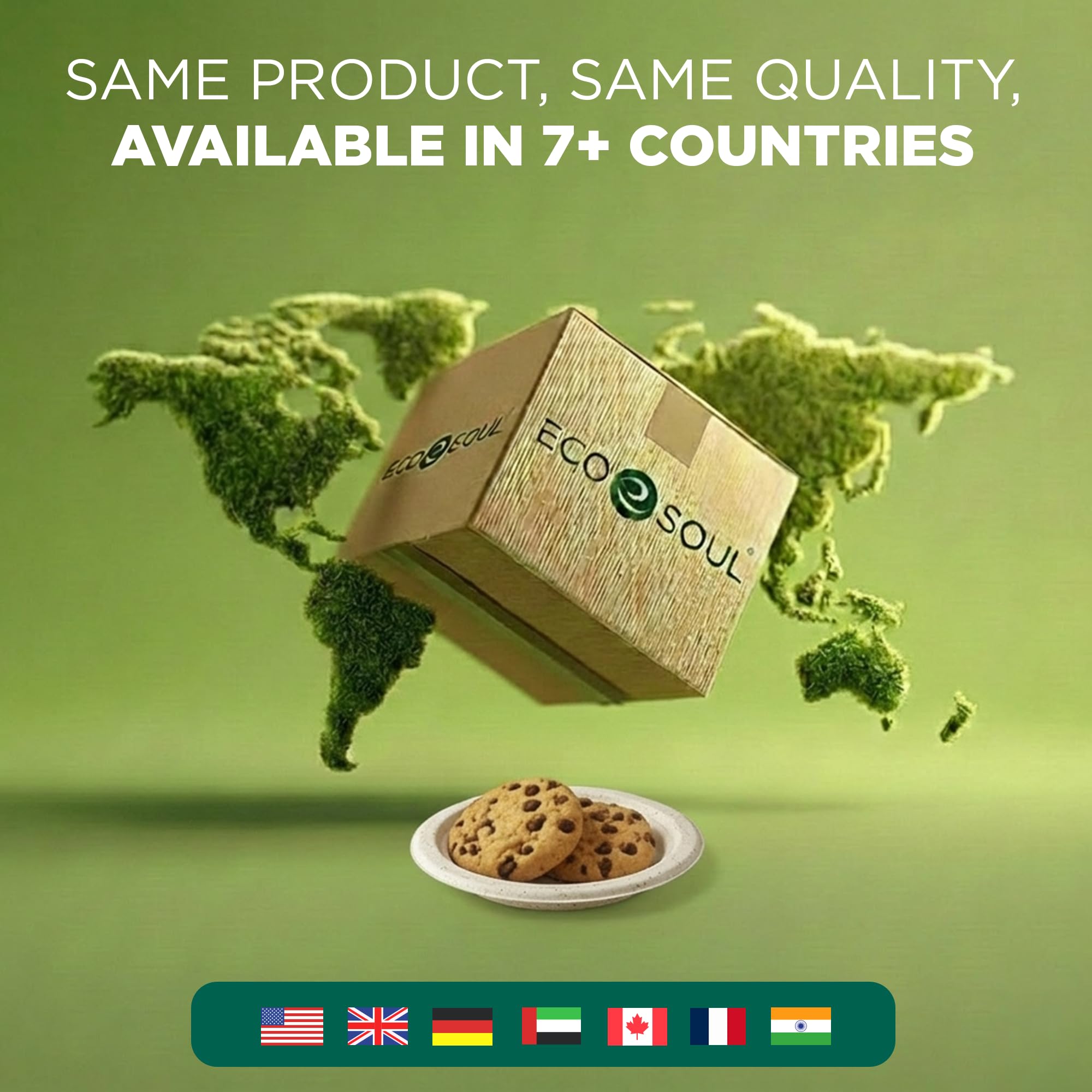 ECO SOUL Lot de 400 assiettes en carton compostables de 22,9 cm biodégradables, robustes, jetables et respectueuses de l'environnement pour dîners et fêtes, mariages, événements (blanc)