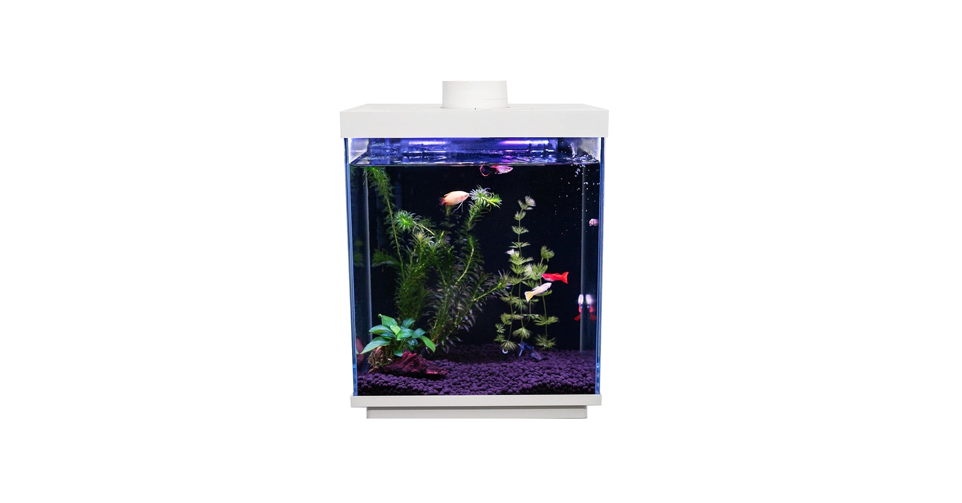 【新品】多機能スマート水槽 自動給餌機能付き 12L 新品】多機能スマート水槽 自動給餌機能付き 12L 新品】多機能スマート