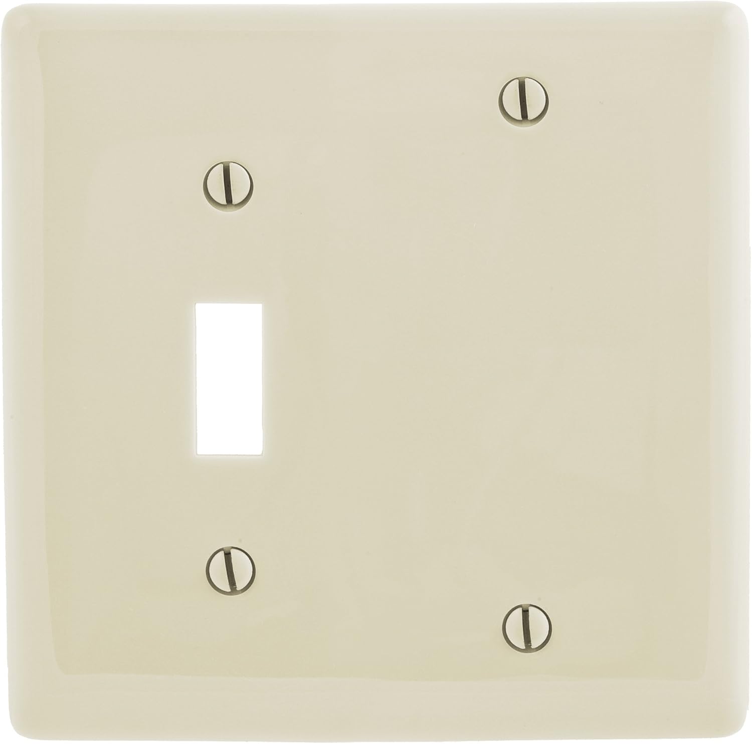 Bryant Electric P113W 2-Gang Toggle and Blank Wallplate, White