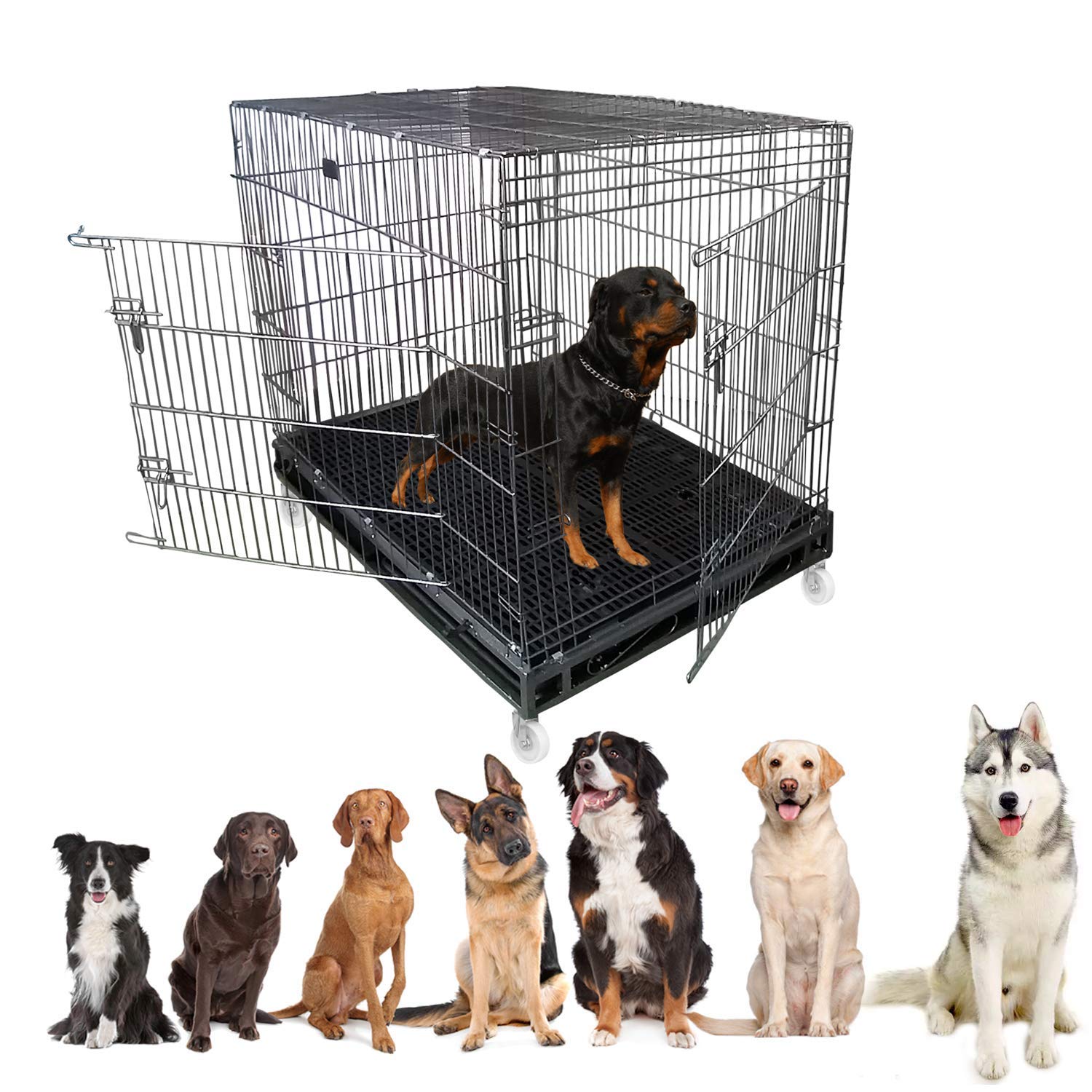 Vibrant Life, SingleDoor Folding Dog Crate With Divider, Large, 36
