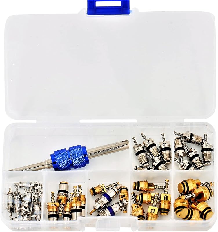 Kit de Núcleos de Válvula para Ar-Condicionado Automotivo Mobling – 40 peças