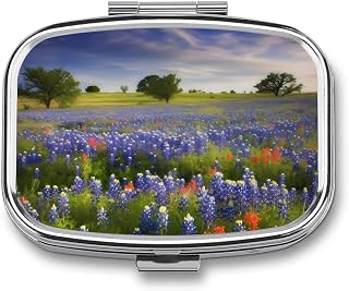 Texas Bluebonnets Scenery Pill Box 2 Compartment Waterproof Pill Case with Mirror Portable for Purse Pocket Daily Medicine Vitamin Organizer Travel Med Container Holder for Fish Oil Supplements