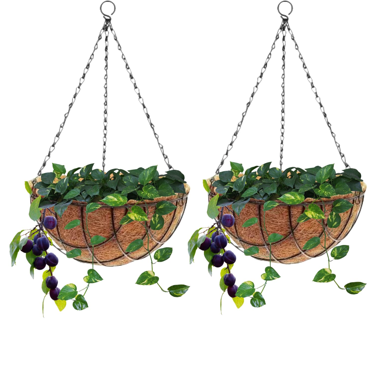 MUDDSTYLES Coco Liner Basket 8 Inches Plant Container Set Balcony Decor Hanging Basket with Metal Chain and Hook Pack 2 (B0DFTMV1SV) Amazon Price History, Amazon Price Tracker