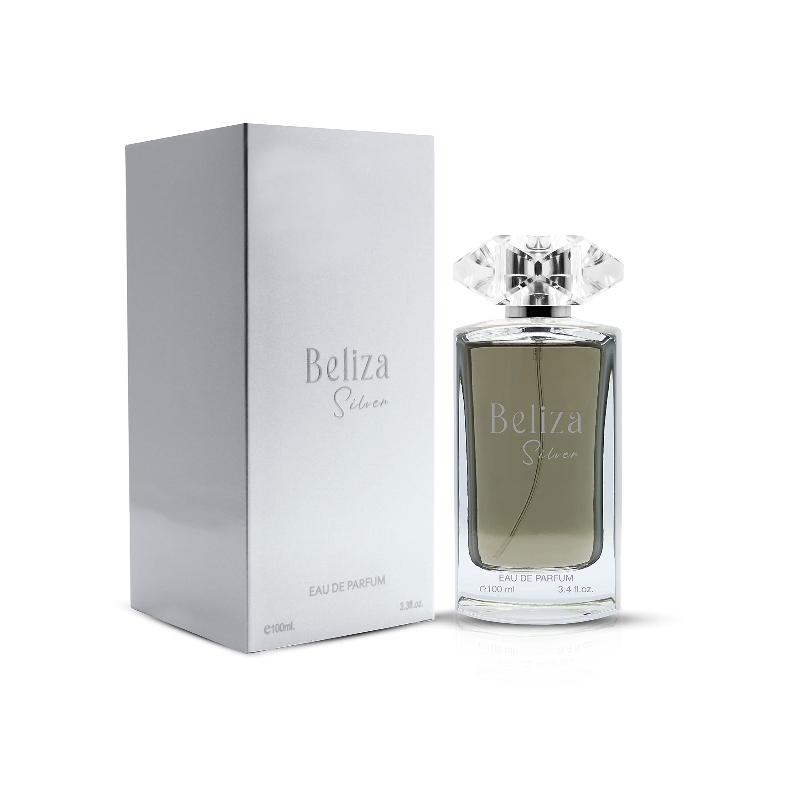 Eau de Parfum Silver Male Perfume 100 ML Strong Aromatic Fragrance for Men Long Lasting Spray for Boys Body Spray Scent for Men Odour Protection