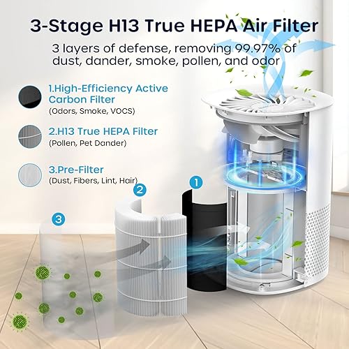 Miniatura 3 de ECOWELL Purificadores de aire para dormitorio, purificadores de aire HEPA H13 para la oficina en casa, sala de estar, filtro de aire para olores de