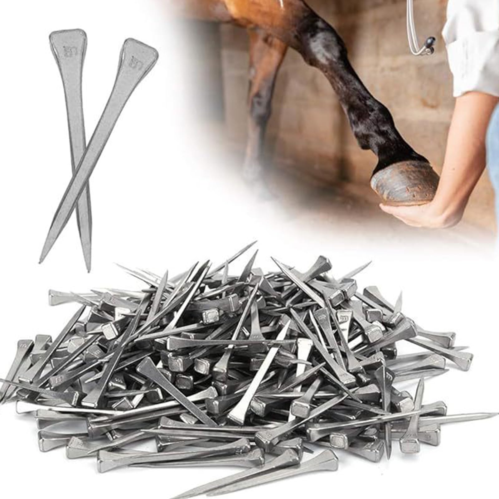 Chiodi Per Ferri Di Cavallo In Acciaio | 40 Pezzi 41mm | Per Maniscalchi E Stabili - Foto 10