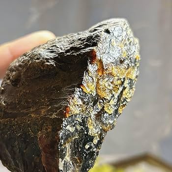 琥珀① Amazon | 龍 鳳凰 琥珀 アンバー シルバー925 ペンダント