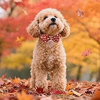 Vista 49 de Maca Bates Fall Maple Leaf Dog Collar with Sailor Bow Tie for Extra Small Girl,Boy,Autumn Foliage Puppy Collars with Bowtie Breakaway Adjustable