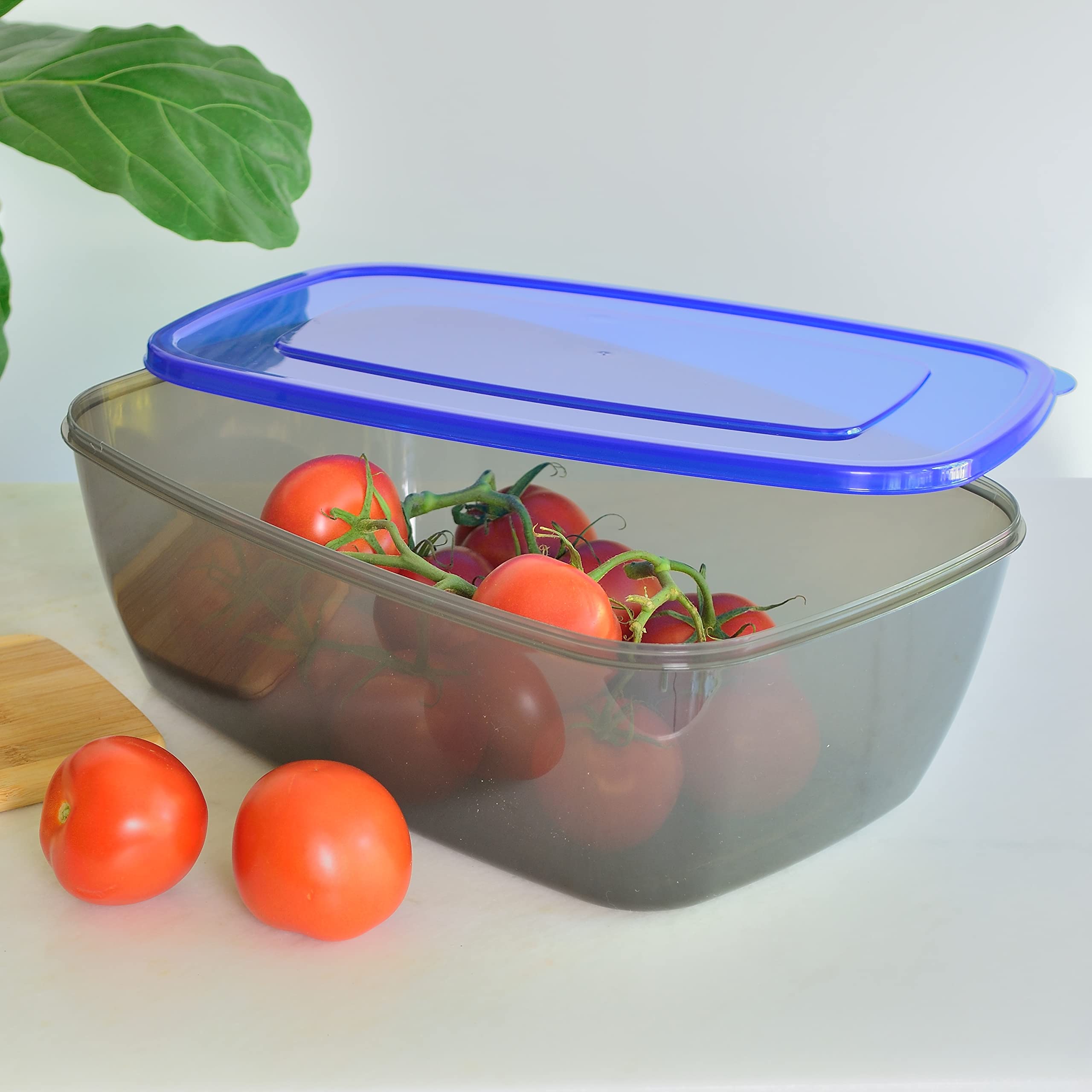 Youngever Confezione da 2 Porta Cibo Contenitori Grandi da 2,5 Galloni, Riutilizzabili, in Plastica