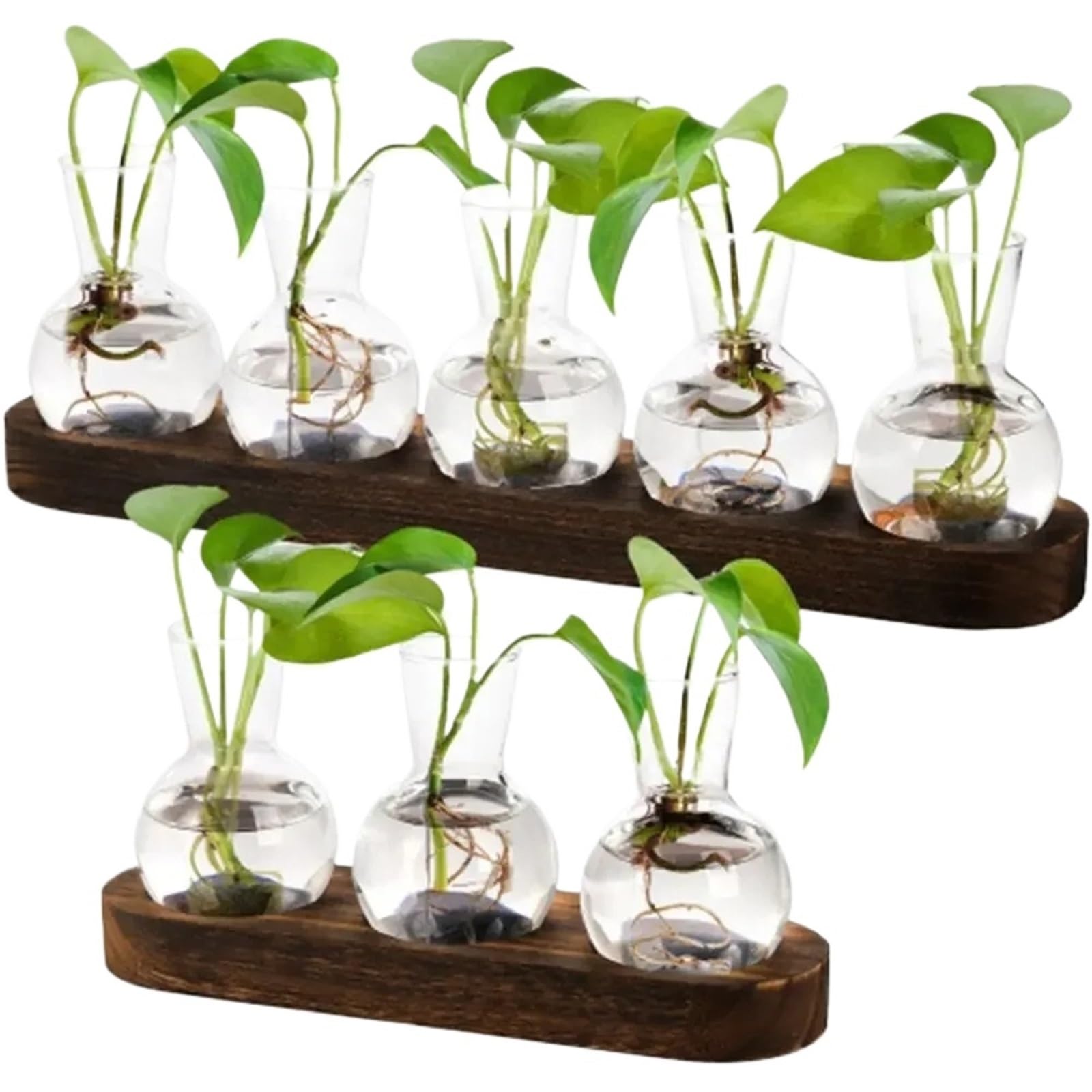 Vase en Verre Vase en Verre hydroponique Transparent Moderne avec Plateau Bois, Station de Propagation créative for Terrarium Plantes(Color2)