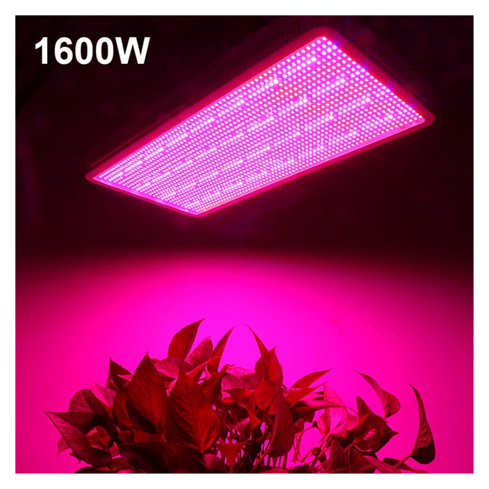 GaRcan Luz LED para Plantas 1600W 1200W 800W 600W 300W Lámparas de luz LED para Cultivo de Plantas de Espectro Completo de Alta Potencia para Sistema hidropónico Vegetal y Floral