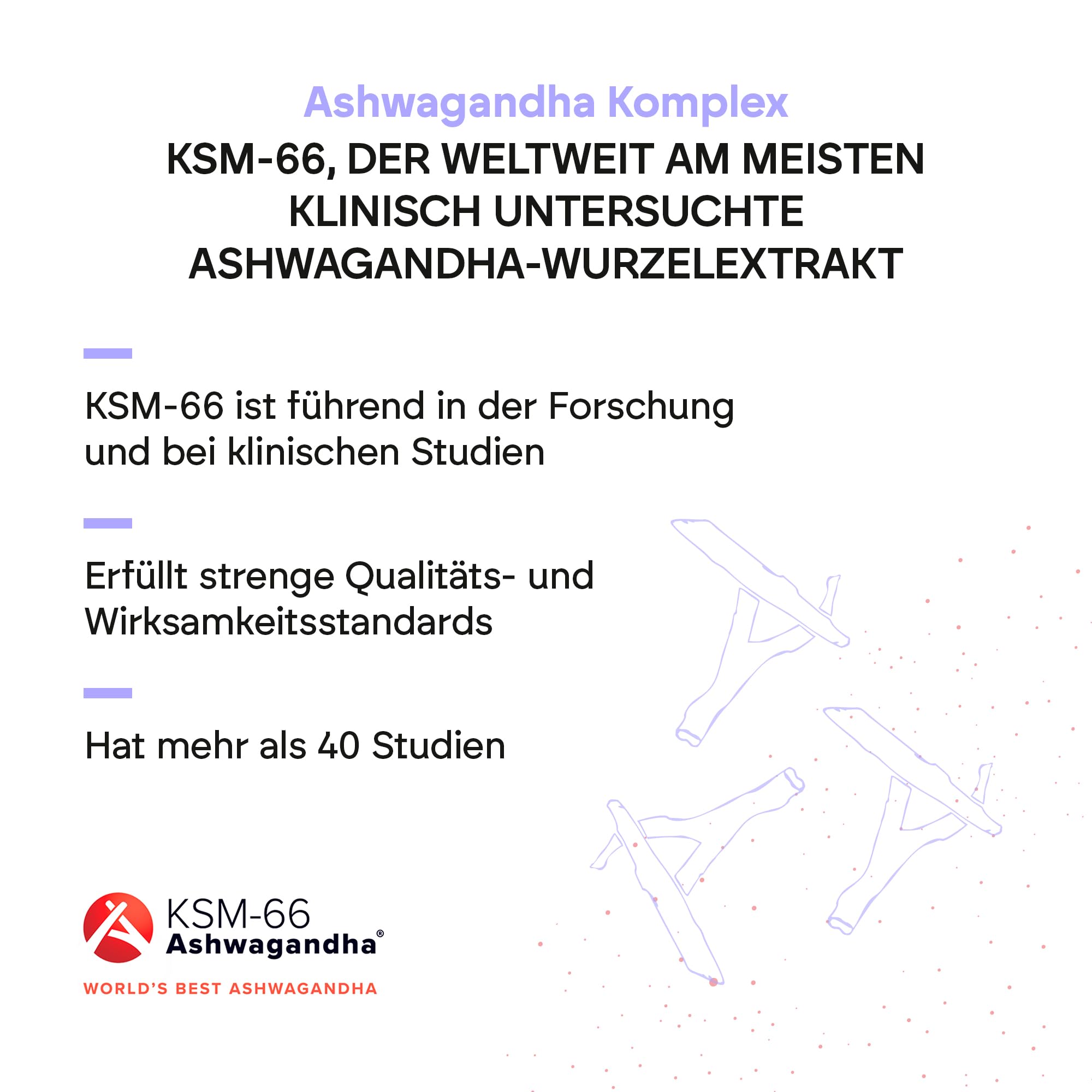 Ashwagandha KSM-66 610mg - Rhodiola Rosea + 5% Withanolide + Vit B6 B12 + Withania Somnifera - 60 Kapseln Vegan Nutralie