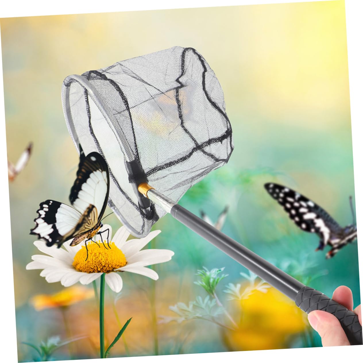 ifundom Teleskop Fischernetz Handliches Angelnetz Für Erwachsene Mit Faltbarem Netzkopf Für Angeln Insektenfangen Und Gartenaktivitäten