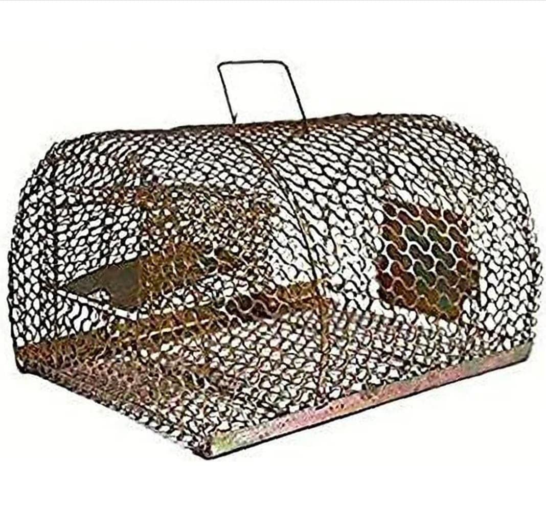 i-Keeper Rat, Rodent, Mouse Trap , Iron Catcher- Ultimate Solution to All Rat Problems (Big Cage 1pc)