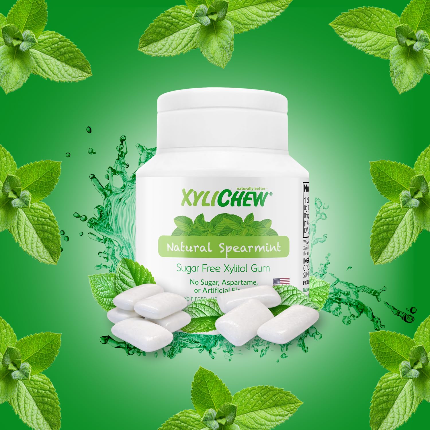 XYLICHEW - Xylitol Gum Spearmint Jar - 60 Pieces (2.75 oz./78 g)