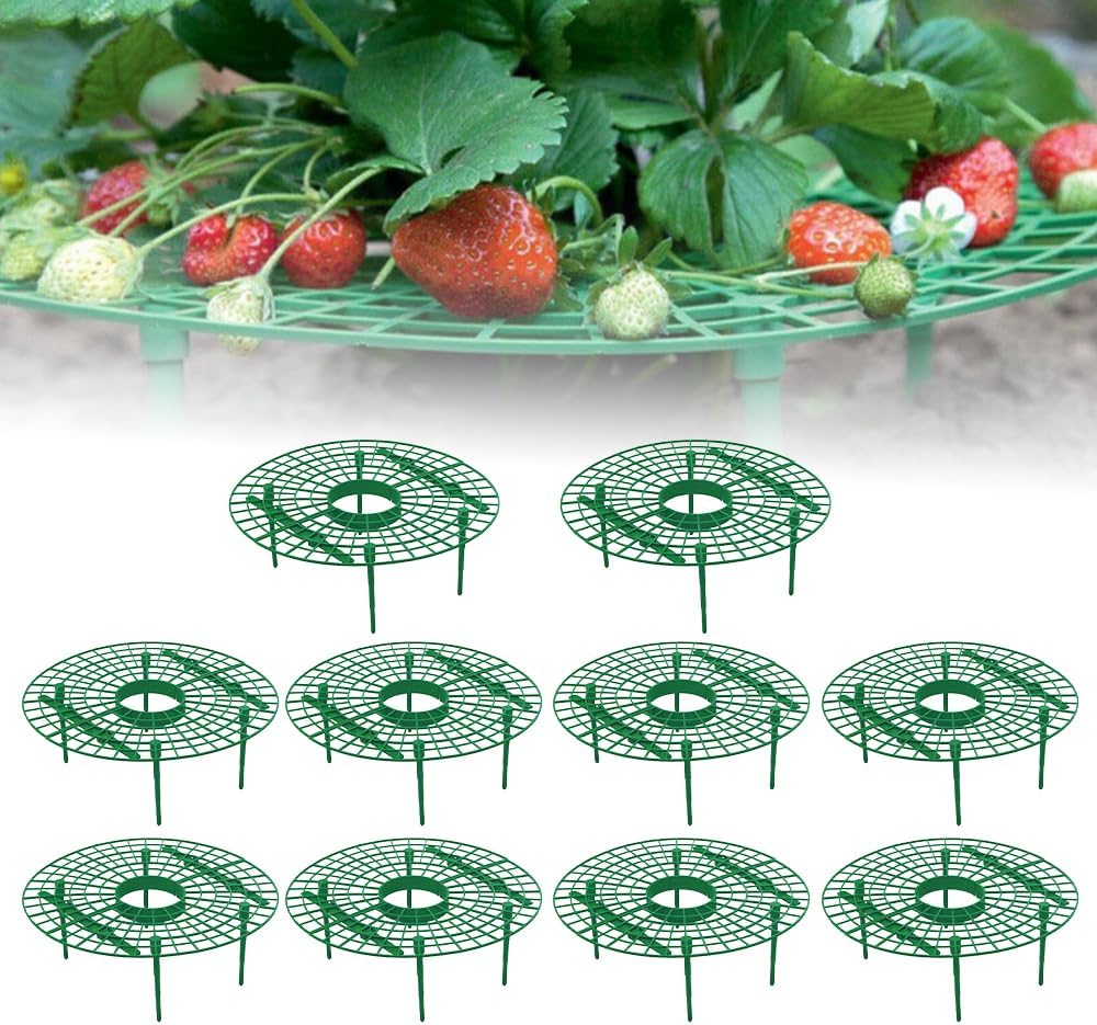 Strawberry Plant Support, Strawberry Supports Strawberry Trellis Strawberry Cages for Garden, Strawberry Growing Racks Strawberry Growing Frame Strawberry Stand Strawberry Holder (10PCS_Green)