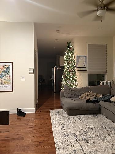 Review Image by Clayton C.