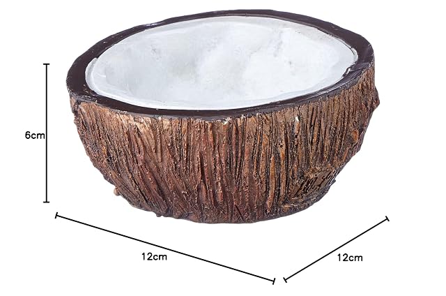 Foto 4 de 4 de Exo Terra Bebedero Coco 1 Unidad 130 g