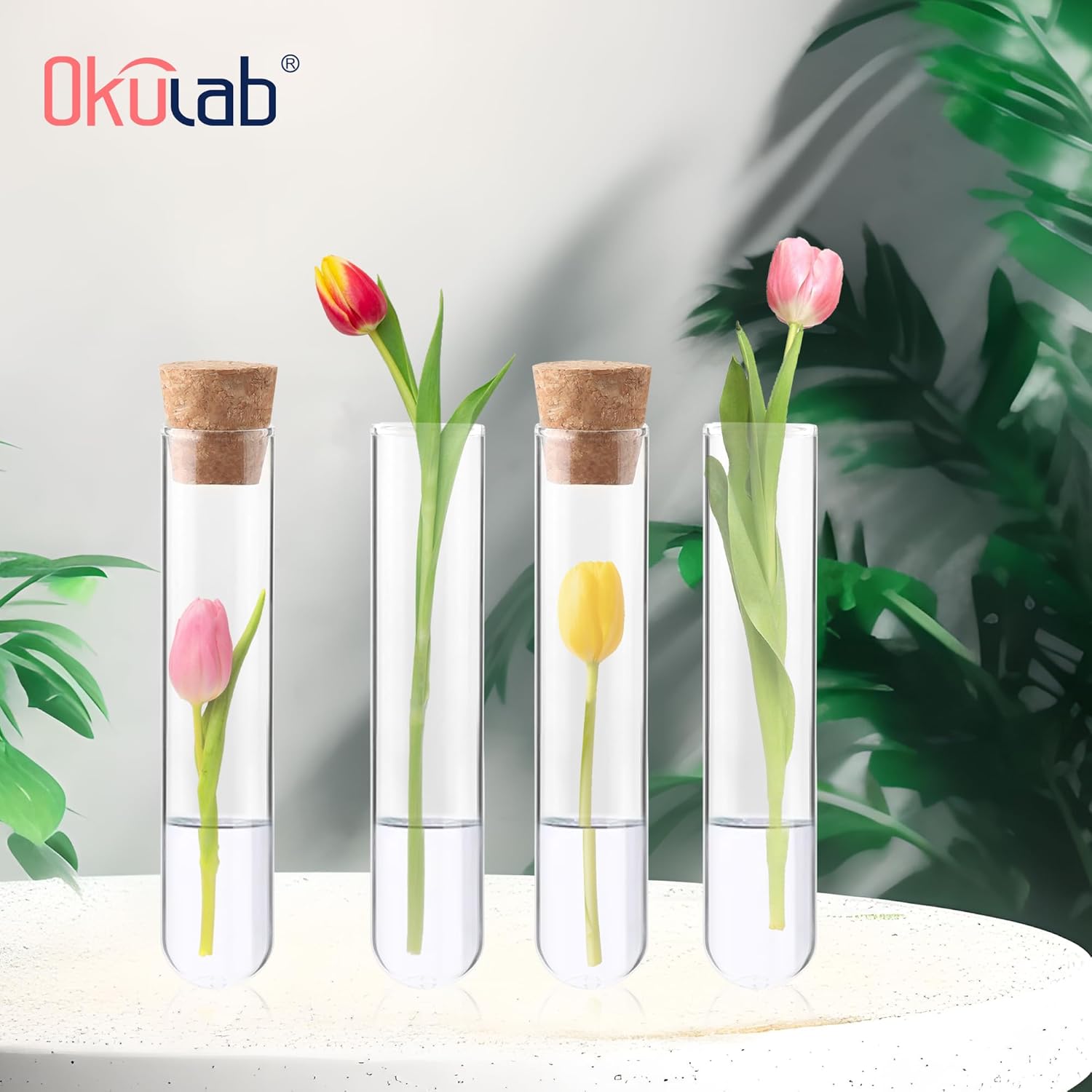 Glass Test Tubes Bulk 50pcs,16ml 20x100mm Test Tube with Cap and Brush, Glass Test Tube for Scientific Plants,TTGS01A50