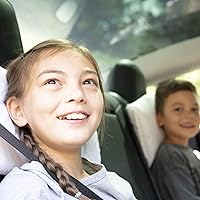 Vista 5 de Almohada de microfibra Pipsqueak - Pequeña, Mini, Pequeña - 27.9 x 17.8 cm - Perfecta para viajes, autos, aviones, camping, perros, niños pequeños