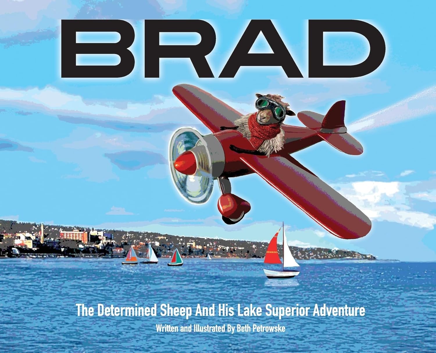 Brad's book cover