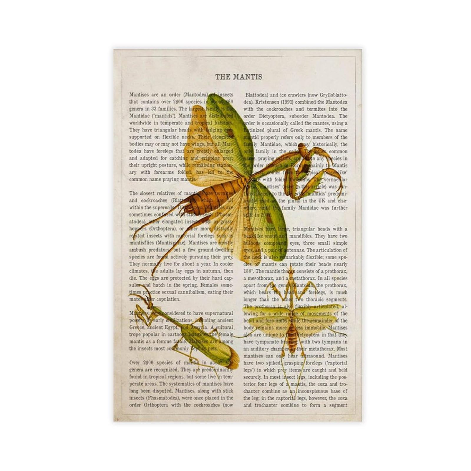 Oquajk Vintage Praying Mantis Poster Canvas Poster Bedroom Decor Landscape Office Room Decor Gift 12X18inch(30X45cm)