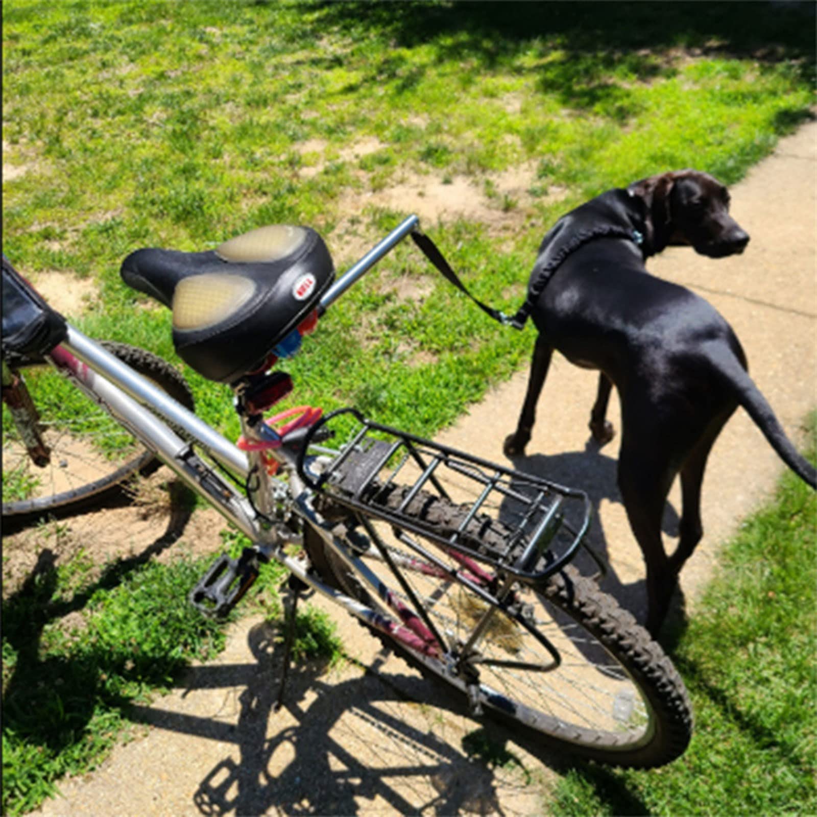 Laisse De Marche pour Vélo, Laisse De Vélo Mains Libres Amovible avec Sangle Rembourrée, Facile À Installer, Convient À Tous Les Types De Vélos Et À Toutes Les Races De Chiens