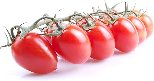 Semillas de tomate híbridas azucaradas