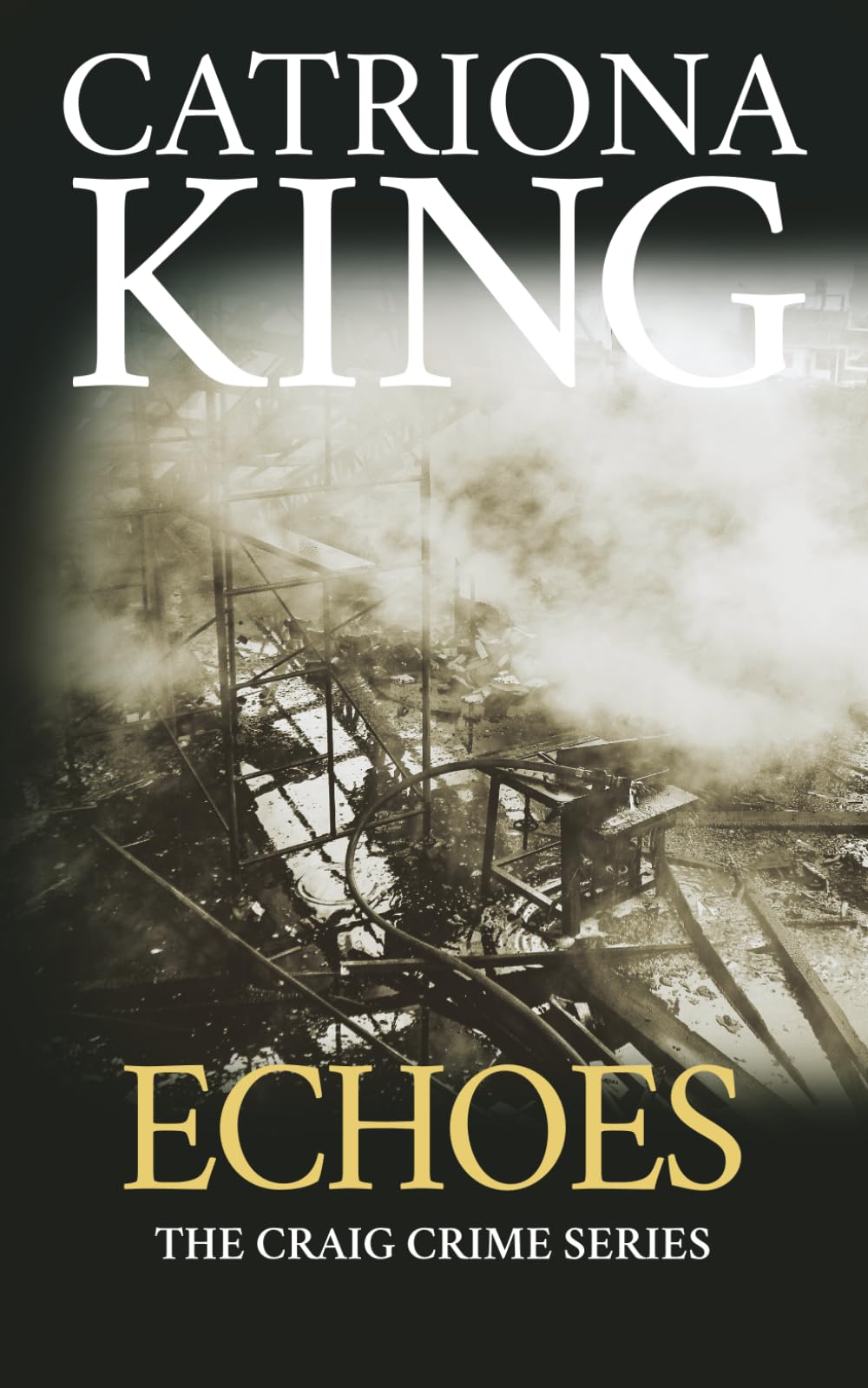 Echoes (The Craig Crime Novels)
