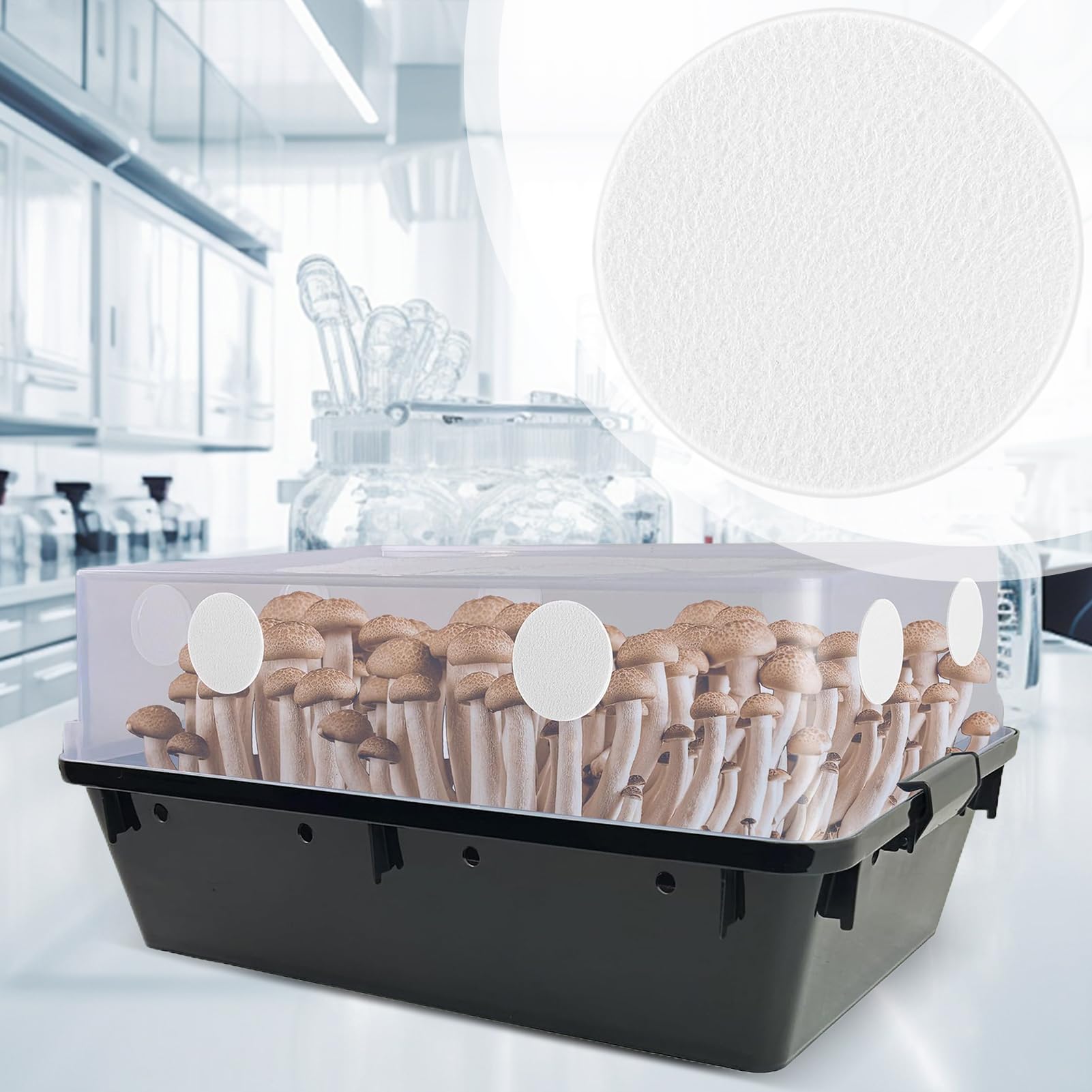 Monotub Filter Scheiben,Ersatzfilterpads Für Pilzzucht | Effiziente Filter Aufkleber Ersatz Für Einsteiger & Erwachsene Pilzzucht Begeisterte
