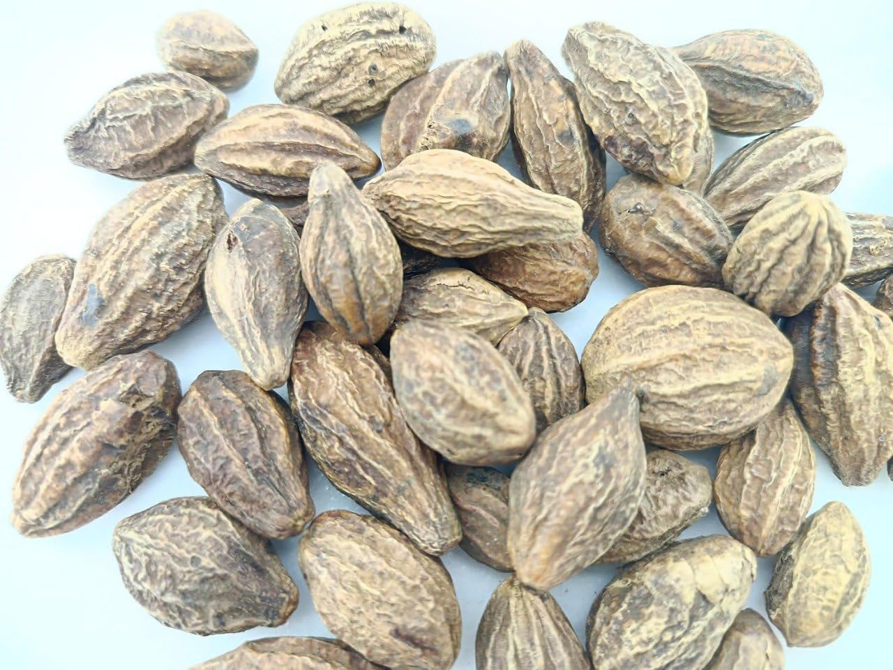 jp Badi Harad Whole - Aralu | Inknut | Kadukkai - Harar - Terminalia Chebula - KarakkayaPack of 150g (Whole)